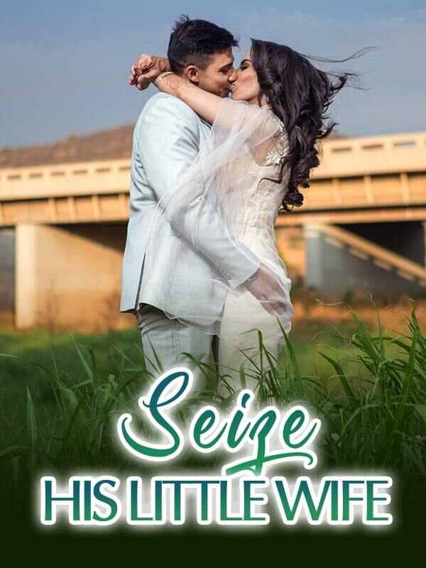 Seize His Little Wife
